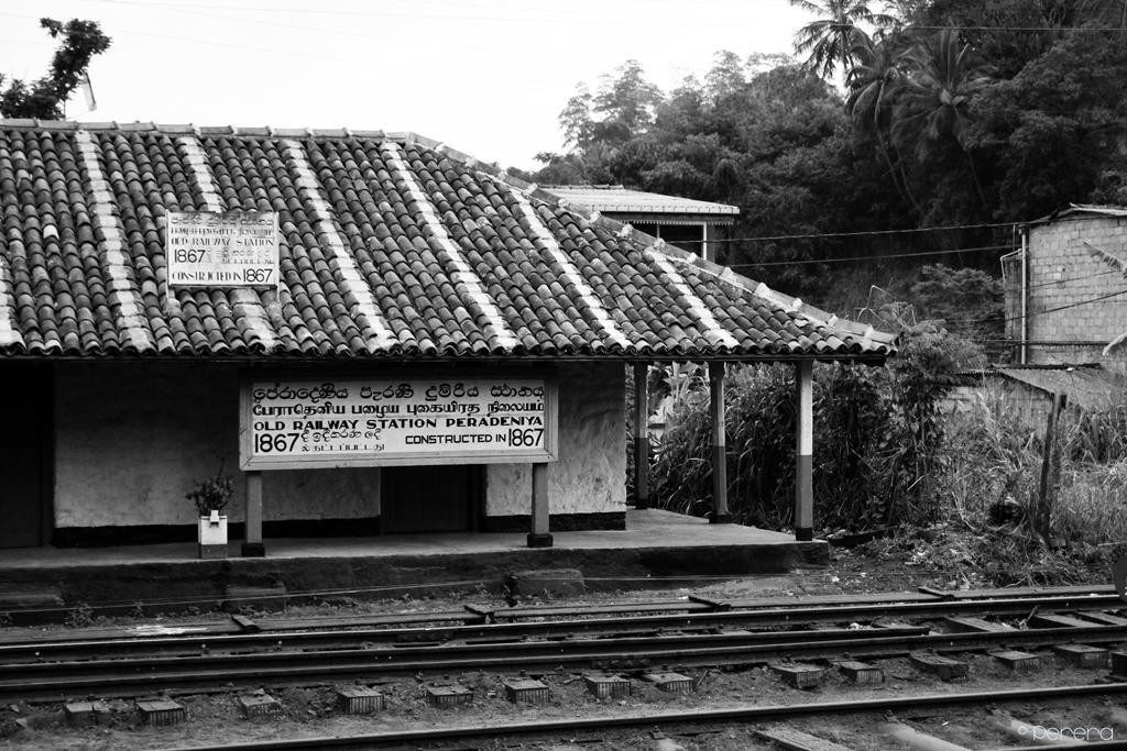 Summit View Bed & Breakfast Kandy Eksteriør bilde