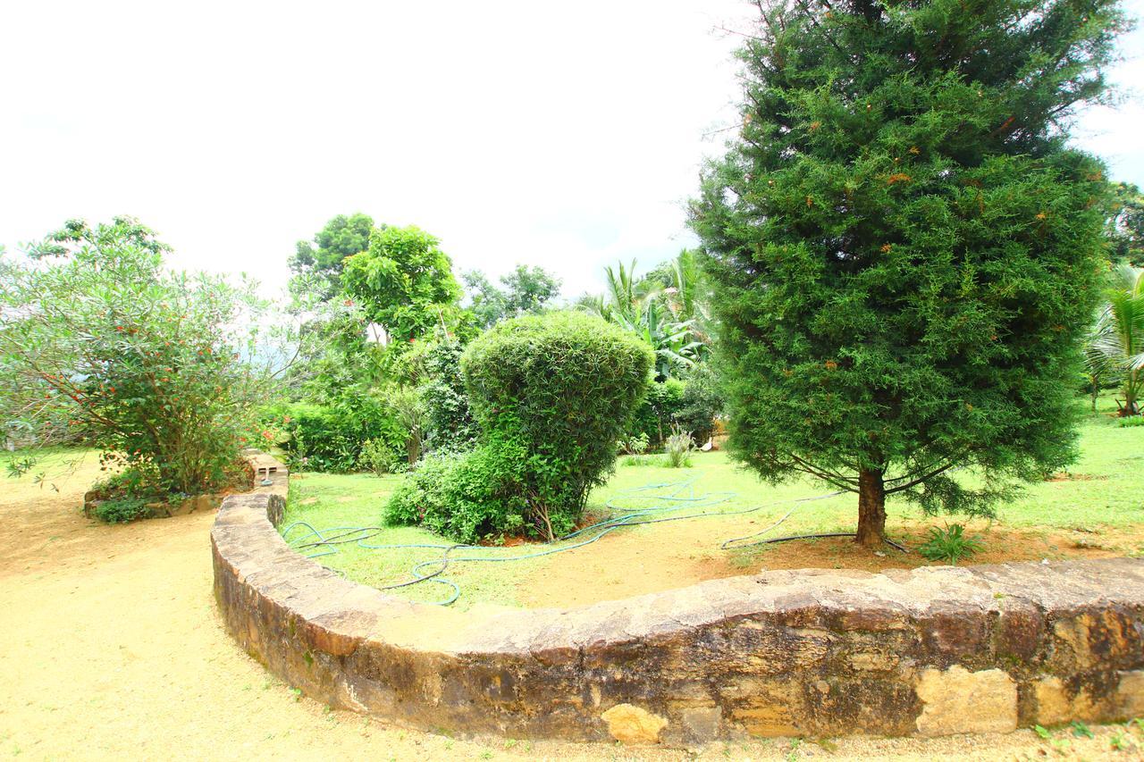 Summit View Bed & Breakfast Kandy Eksteriør bilde